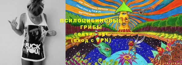 mdpv Каменка